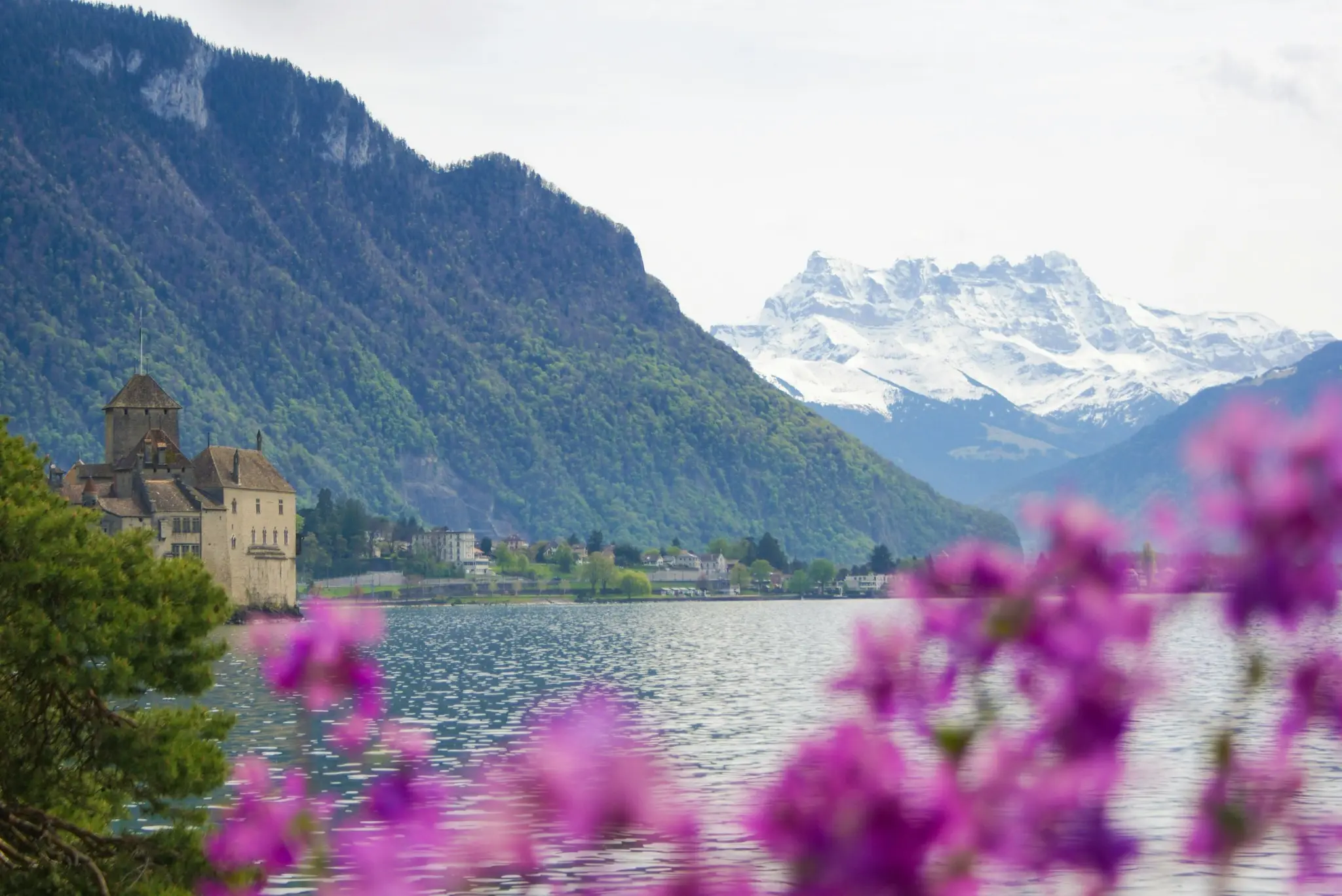 Castillo de Chillon junto al lago con flores y montañas nevadas