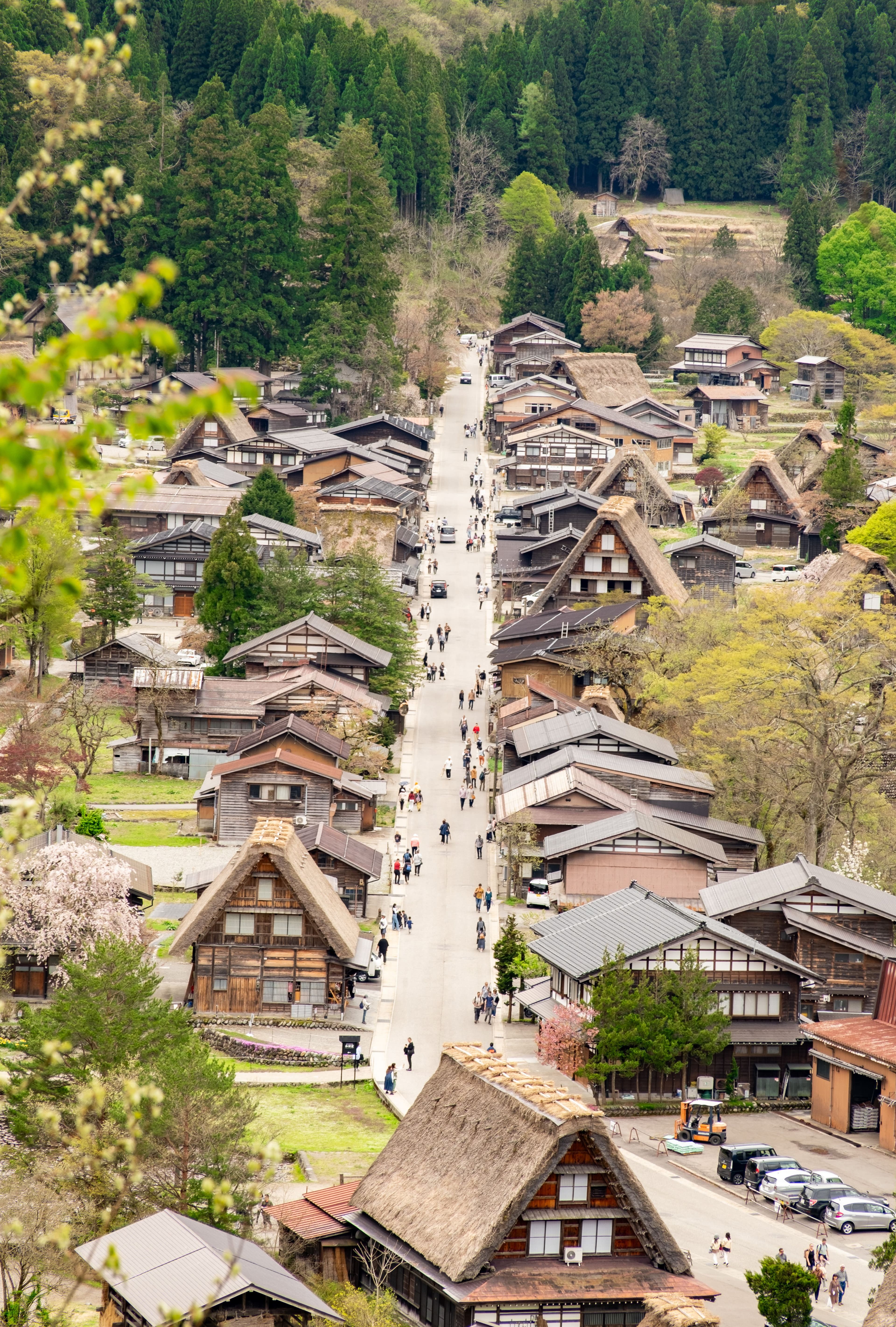 Camino entre casas gassho-zukuri de Shirakawa-go