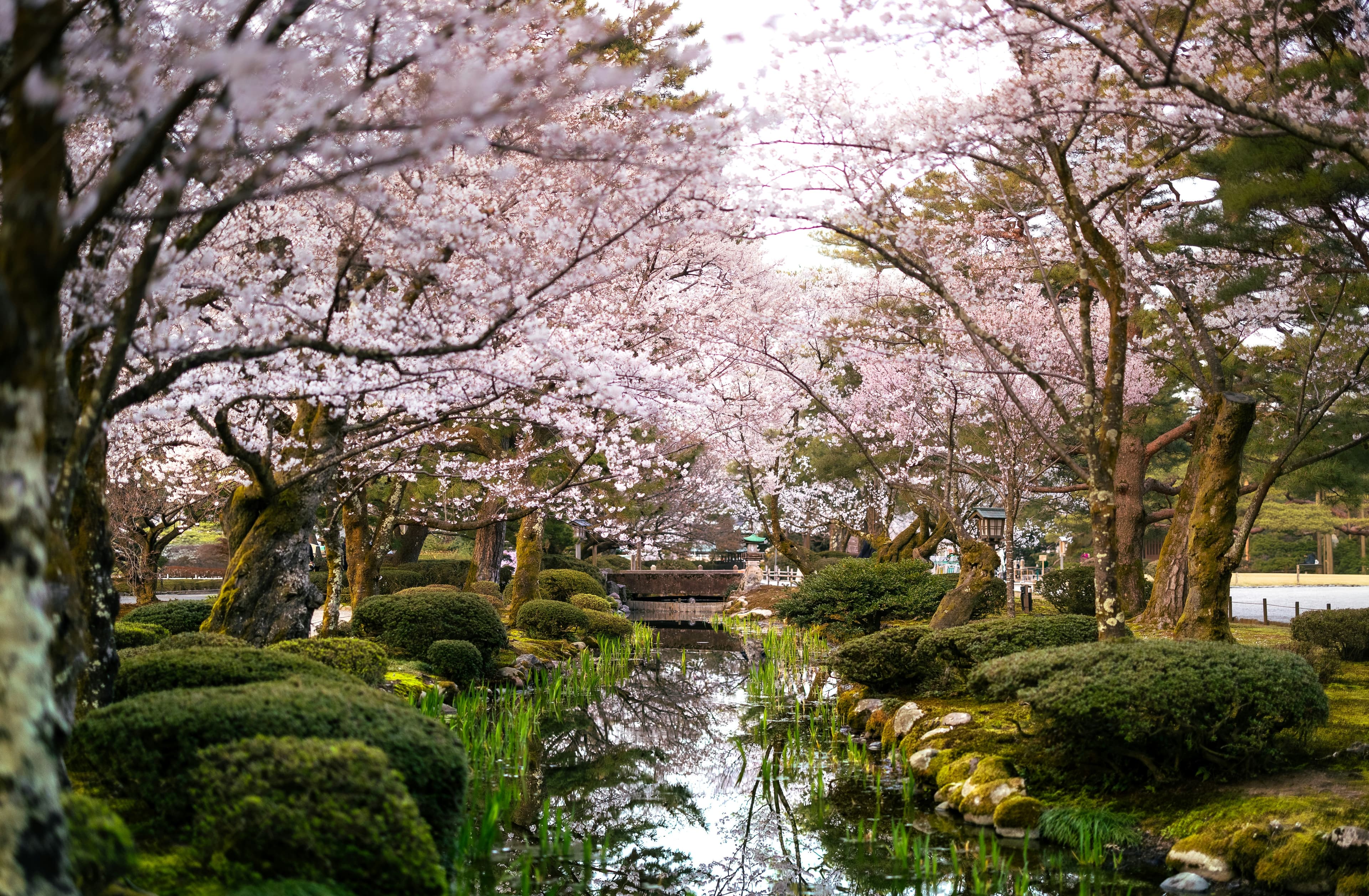 Kanazawa en primavera, una de las salidas naturales de la ruta