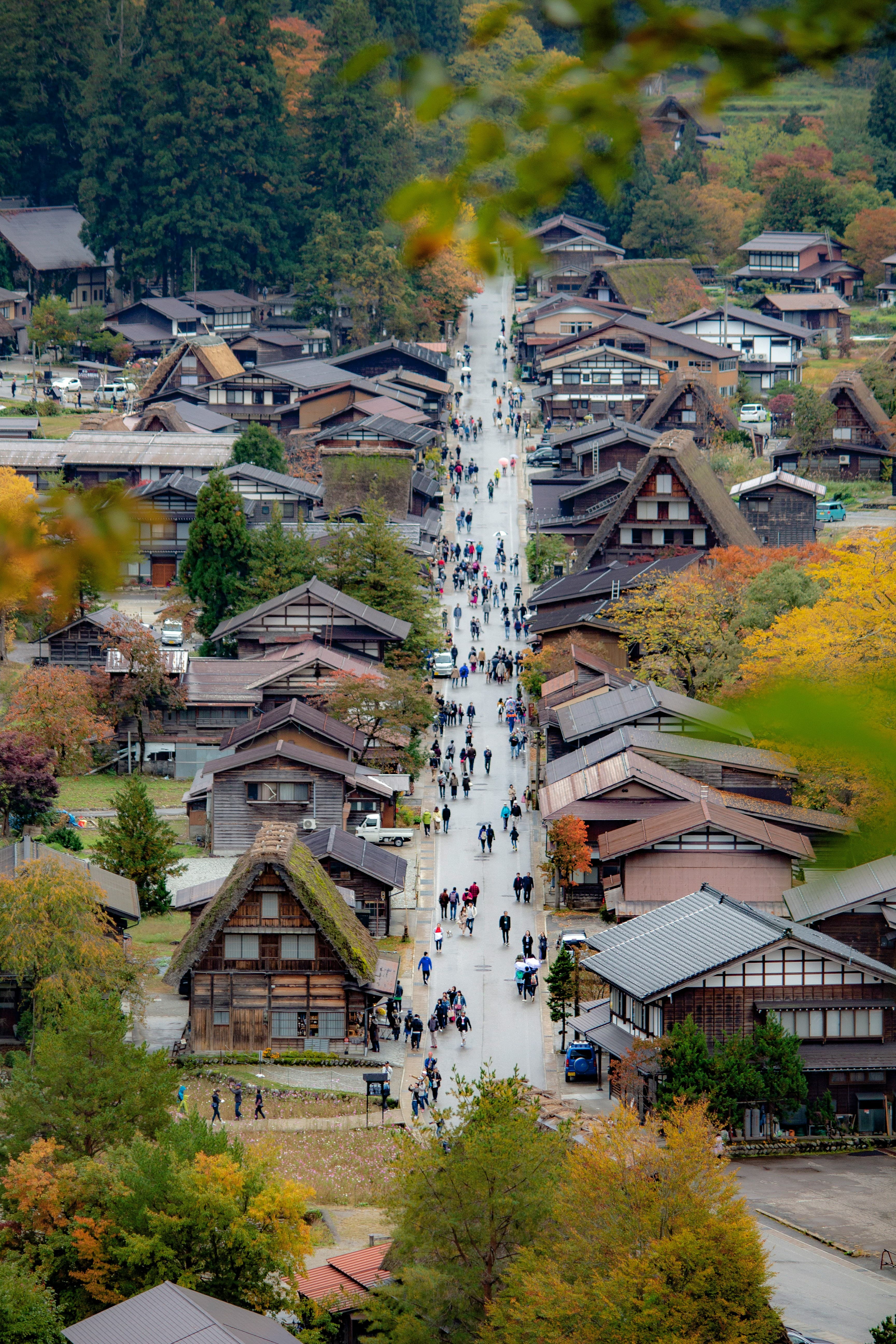 Personas caminando entre casas de Shirakawa-go