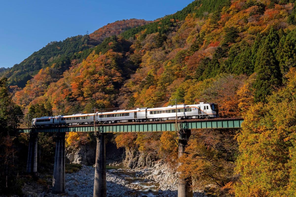 Limited Express Hida cruzando un puente entre bosque y montaña