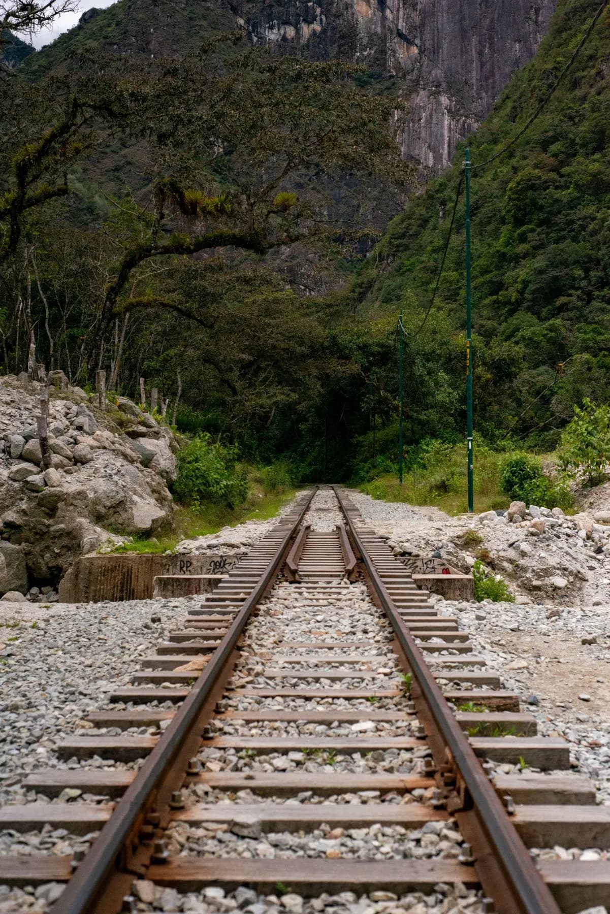 Vía férrea internándose en el bosque nuboso entre montañas