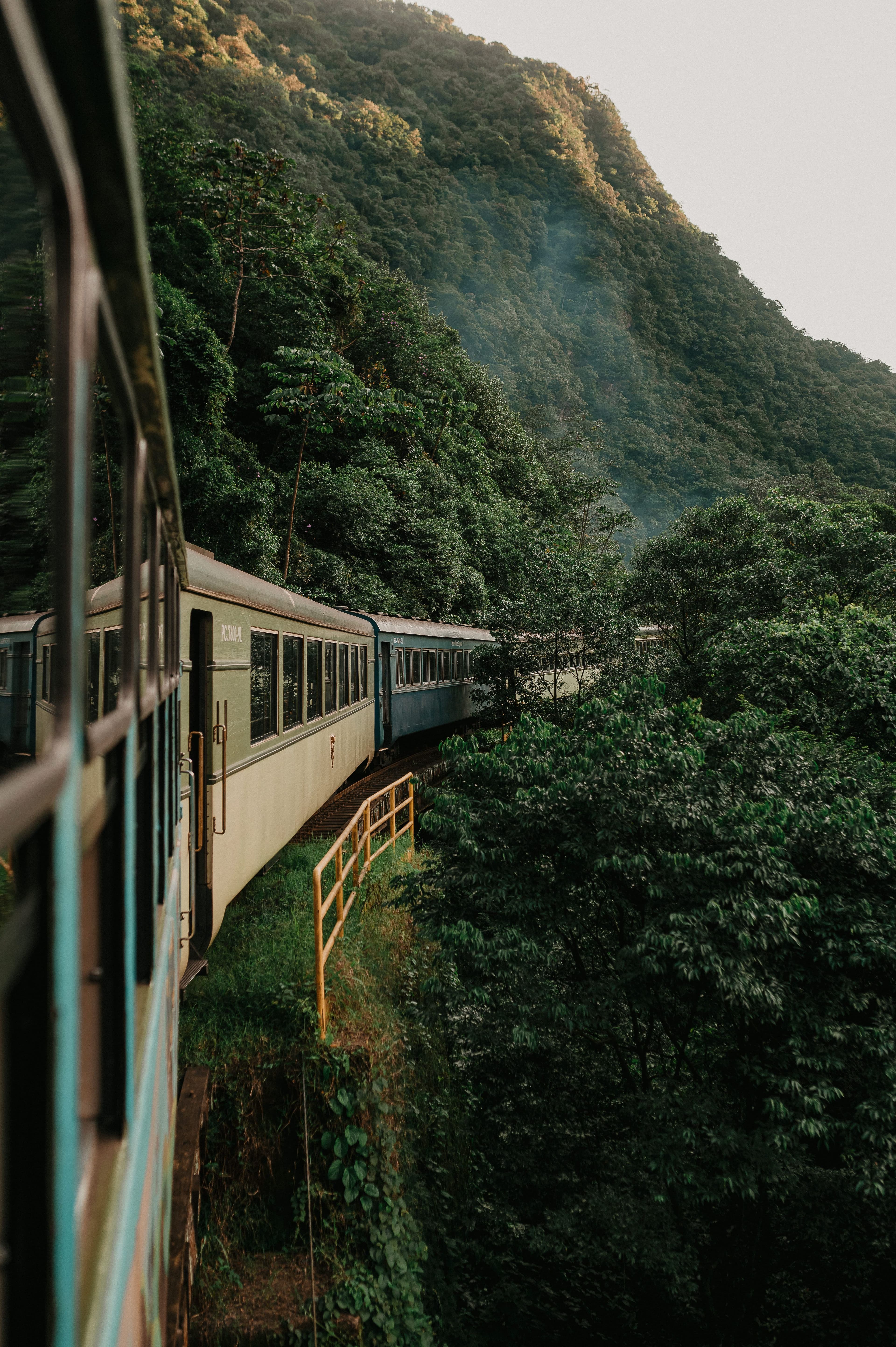 Bosque visto desde la ventana del tren hacia Machu Picchu